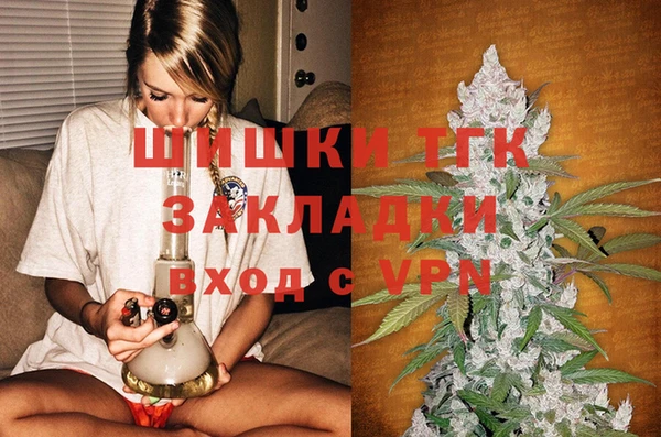 индика Верхнеуральск