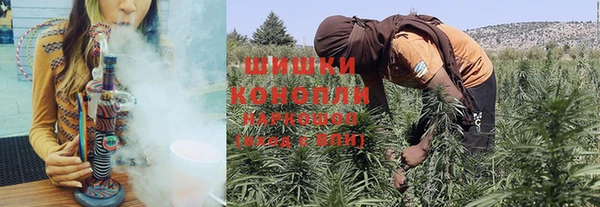 ГАЛЛЮЦИНОГЕННЫЕ ГРИБЫ Осинники