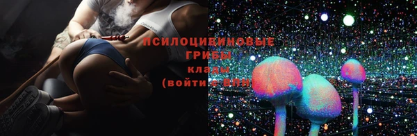 сатива Уссурийск